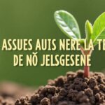 Guide pratique pour tasser la terre manuellement : astuces simples et efficaces