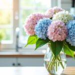 Astuces pour prolonger la beauté des fleurs d’hortensia dans un vase