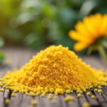 Sel d’oseille : tout savoir sur ses risques, précautions et utilisations