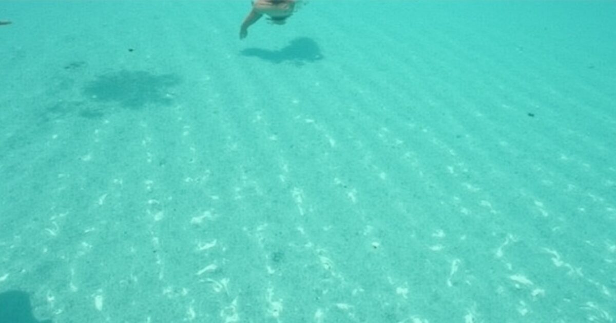 Eau de piscine verte : 7 astuces naturelles et éprouvées pour la retrouver cristalline