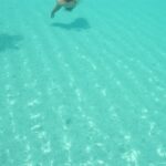 Eau de piscine verte : 7 astuces naturelles et éprouvées pour la retrouver cristalline